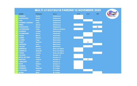 Multi 1 ce dimanche dès 9h à Fareins